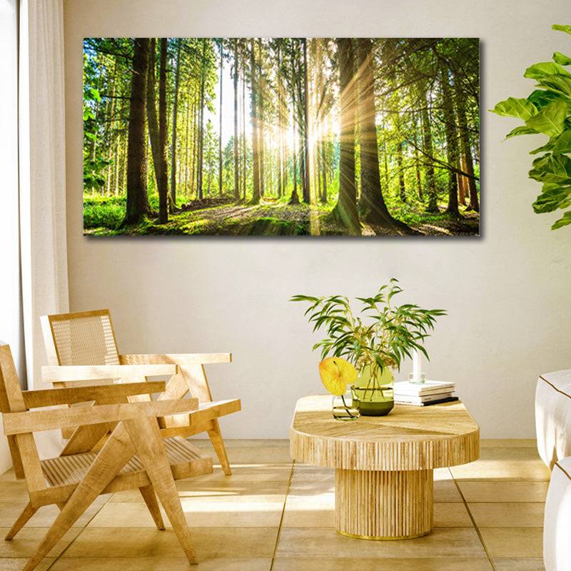 Sunlit Forest Symphony Canvas Art