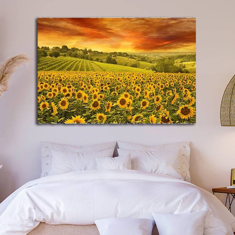 Sunset Glow in Sunflower Meadows Canvas Art