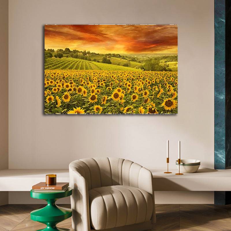 Sunset Glow in Sunflower Meadows Canvas Art